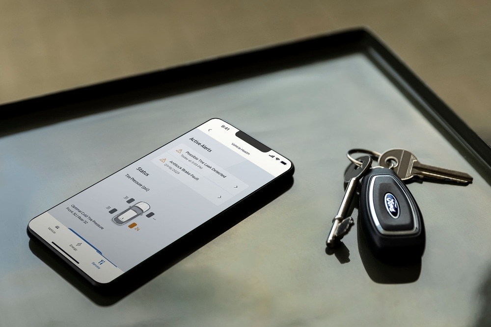 Homem com telemóvel perto de EcoSport