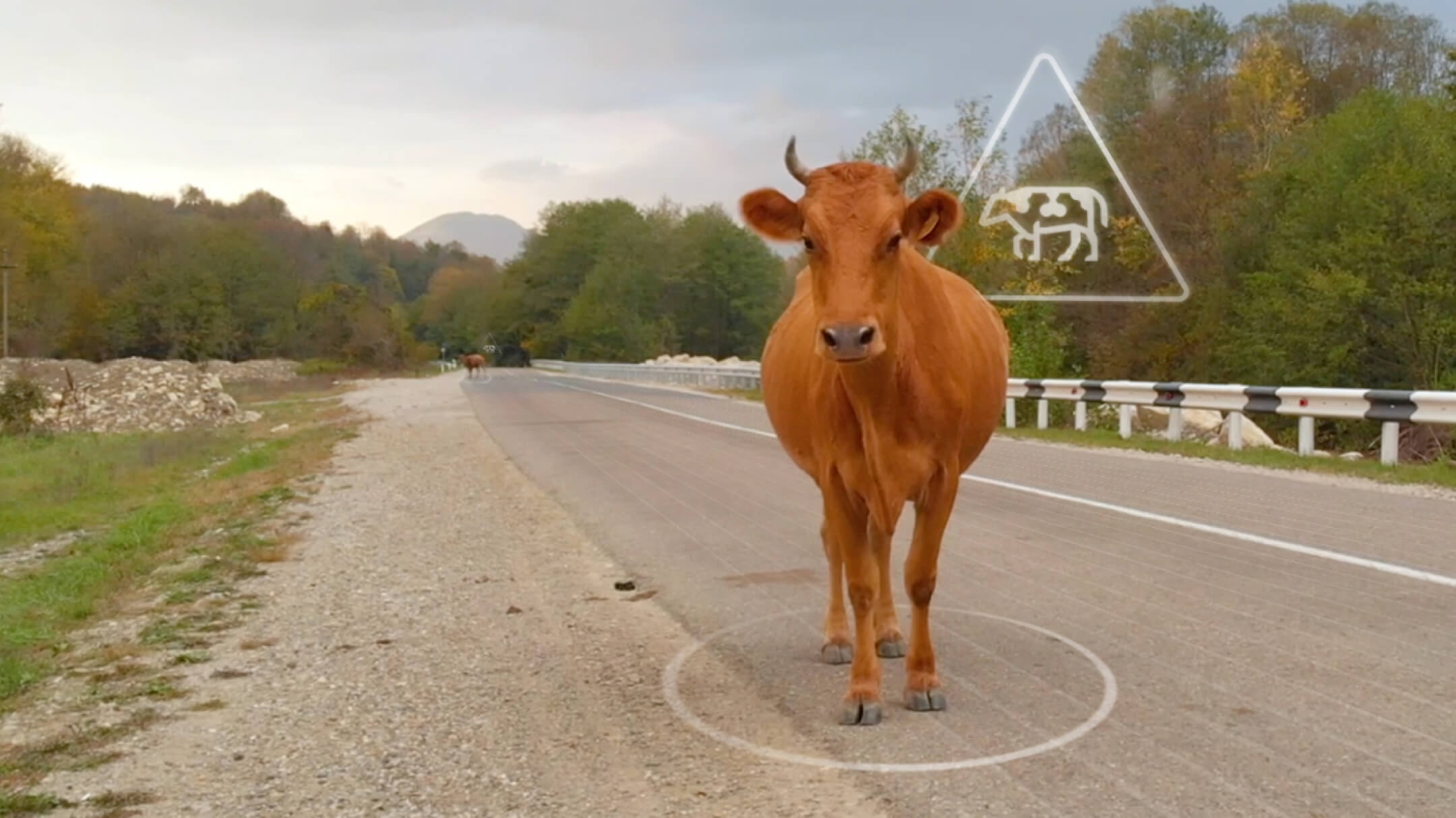 A usar o live traffic e perigo local