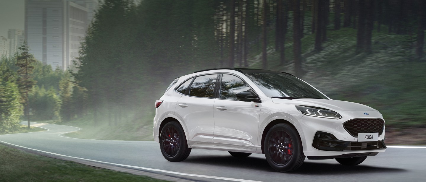 Grey Kuga in the forest